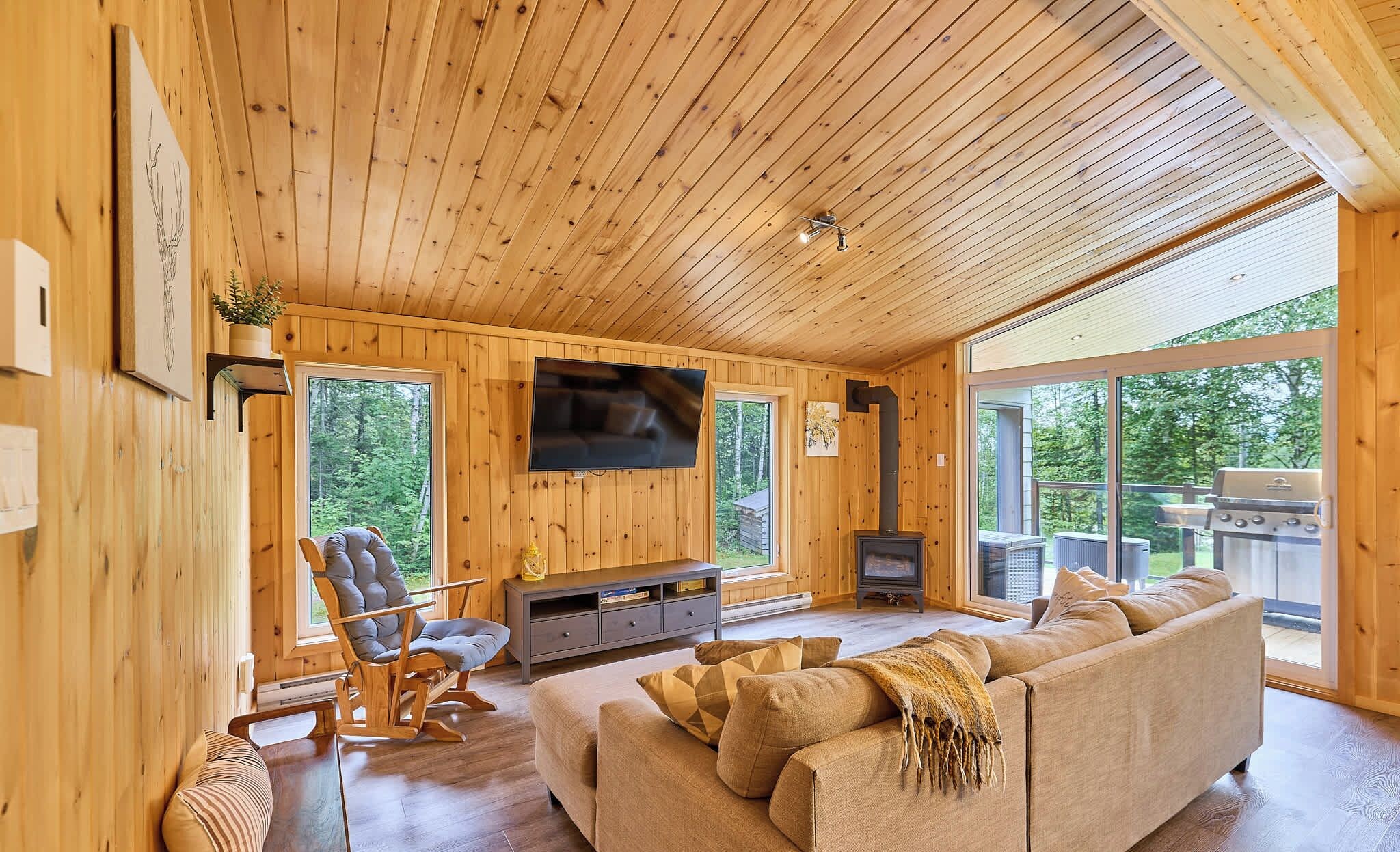 TV, fireplace