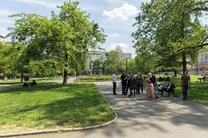 家庭公寓 | 客房景觀