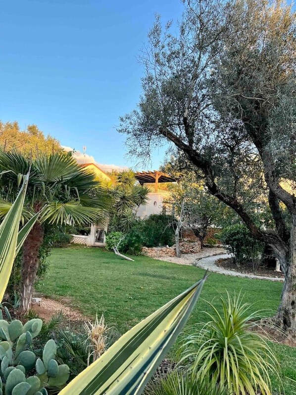 Stroll through our lush garden, featuring a variety of plants and a Mediterranean-style pergola.