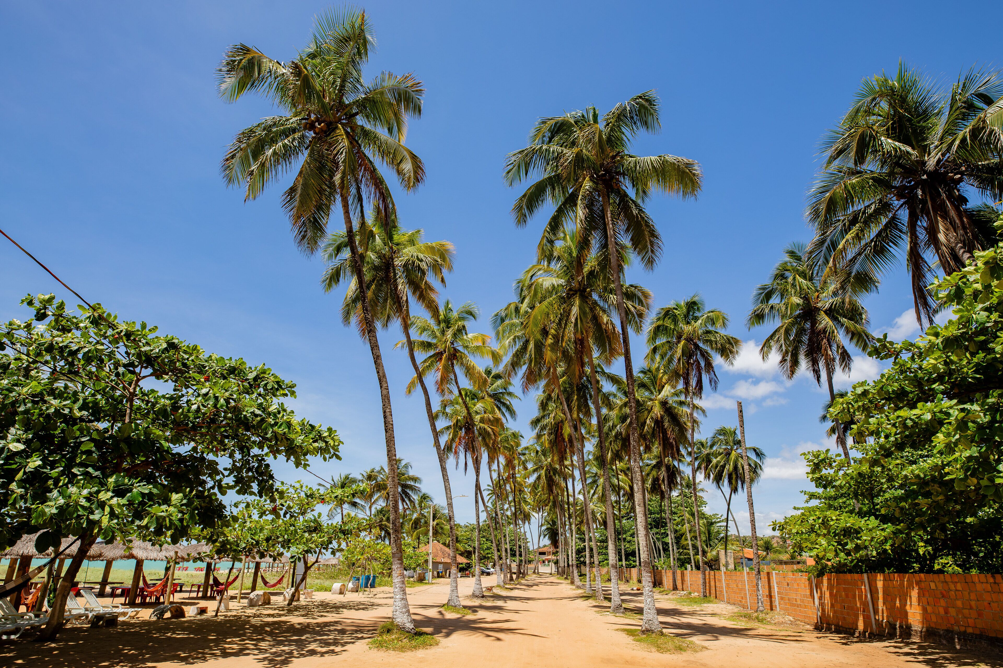 Foto - Moriah Maceió Beach Hotel