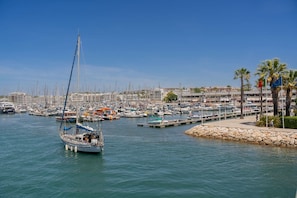 Un port de plaisance où sont amarrés de nombreux bateaux, un ciel dégagé et un mur de pierre bordé de palmiers.