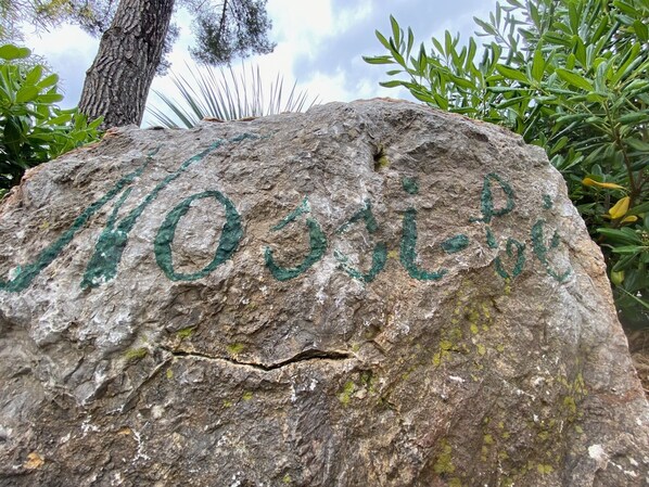 A large rock with the inscription "Woodsick" in green paint.
