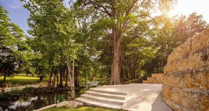 Cation on the Guadalupe