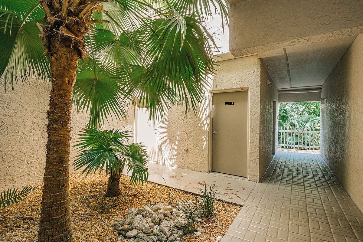 Un couloir agrémenté d’un palmier, d’un petit jardin de rocaille et d’une porte donnant sur un espace extérieur.