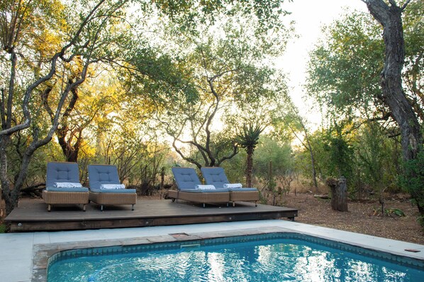 Pool - Nzenga Lodge (Hoedspruit)