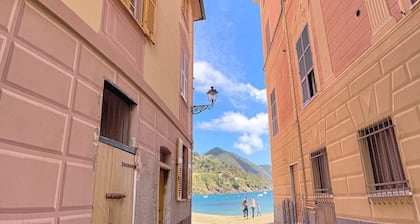 NEL CORSO TRA LE BAIE