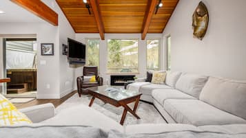 TV, DVD player, video library