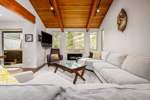 テレビ、DVD プレーヤー、ビデオライブラリ