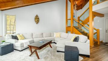 TV, DVD player, video library