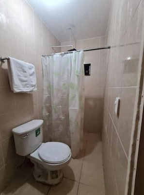 Serviettes fournies, savon, shampooing, papier de toilette