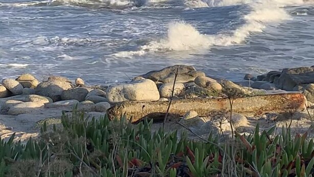 Una costa rocciosa con onde che si infrangono sulla spiaggia.