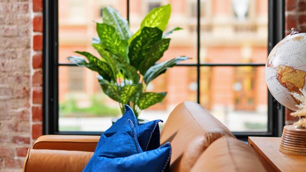 Een leren bank met een blauw kussen en een potplant voor een raam met een bakstenen muur en uitzicht op gebouwen.