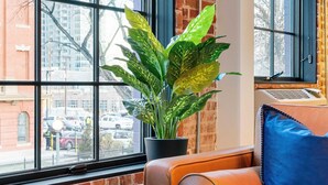 Een moderne woonkamer met een groot raam, een leren bank, een plant in pot en een boek op de salontafel.