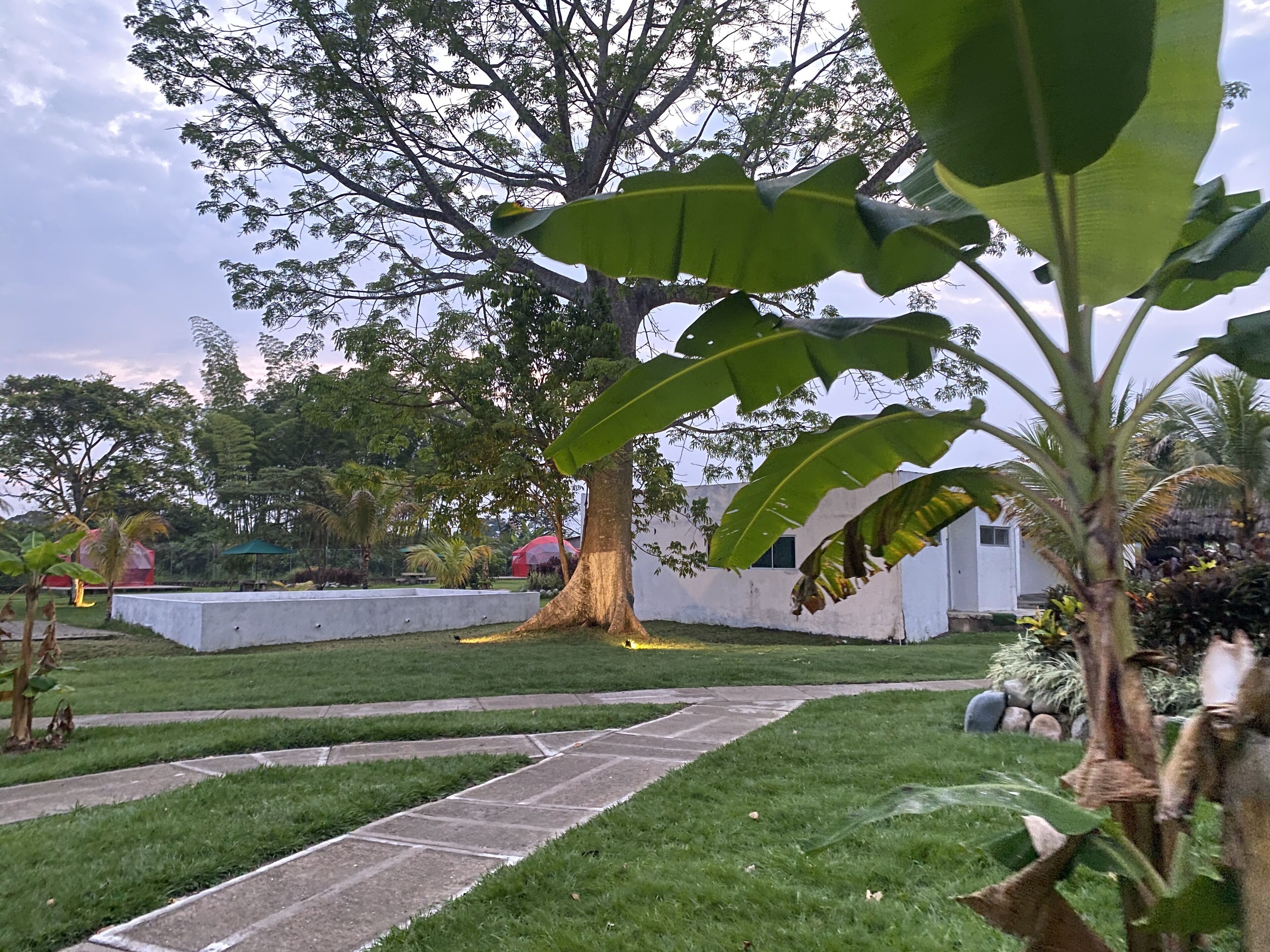 Ngoại thất