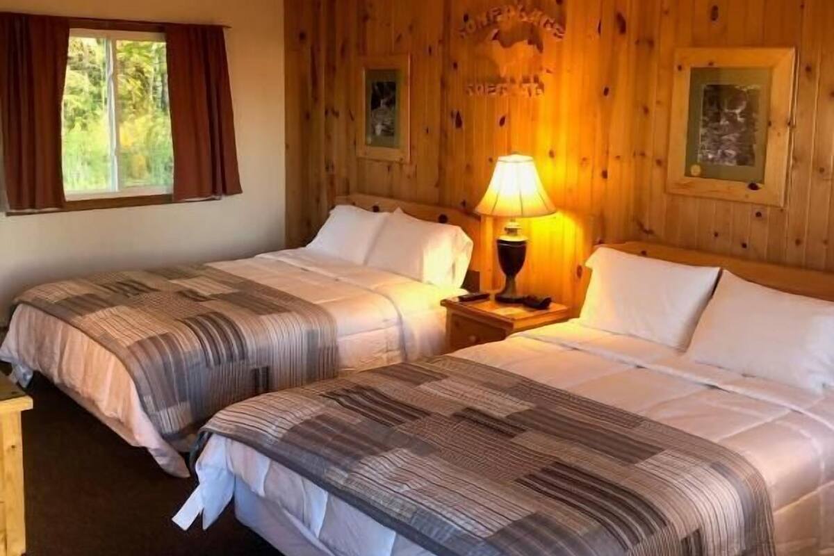 A room with two beds, wooden walls, a window with curtains, and a lamp on a nightstand.