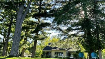 Une maison entourée de grands arbres, avec une pelouse bien entretenue et deux chaises au premier plan.