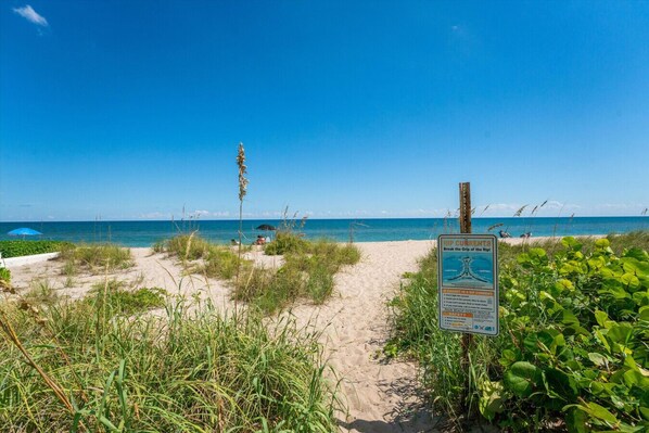 Beach - Summer Suite on Palm Beach Island | Steps to Beach (Palm Beach)