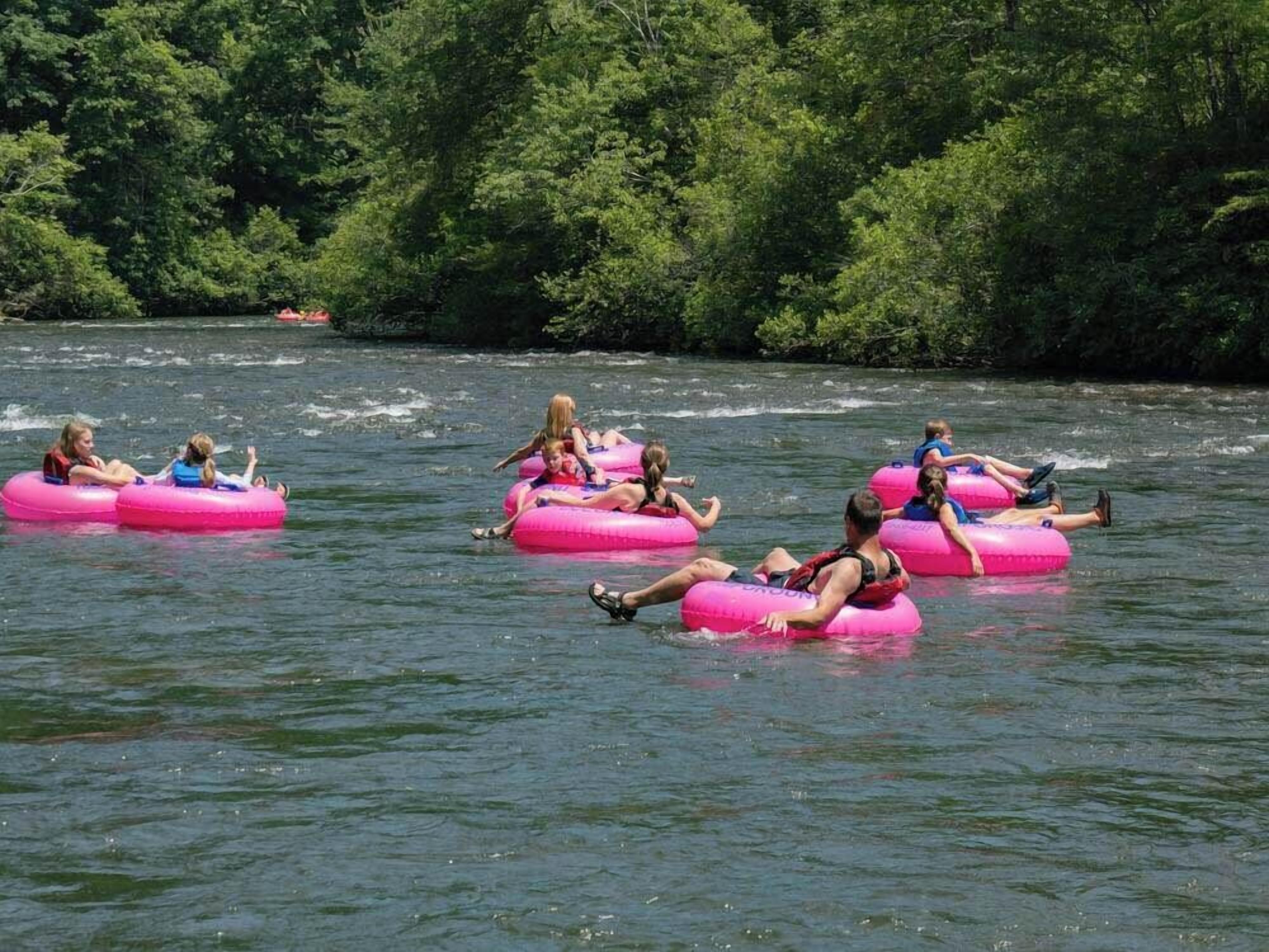 People floating on pink tubes in a river surrounded by trees.