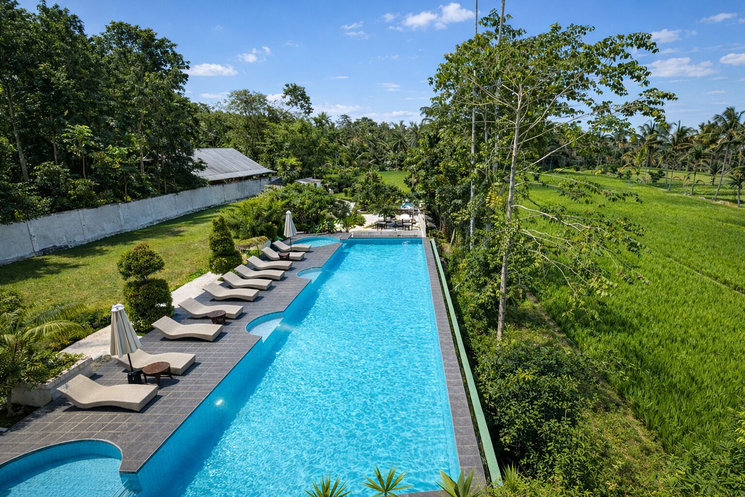 A long swimming pool with lounge chairs and umbrellas, surrounded by lush greenery and a white wall.