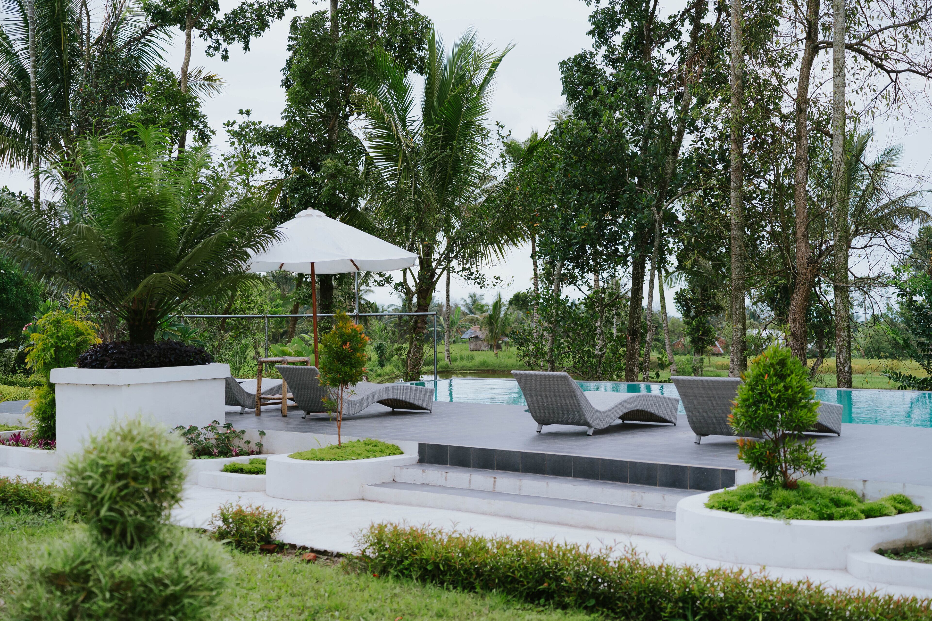 Outdoor pool, pool umbrellas, sun loungers