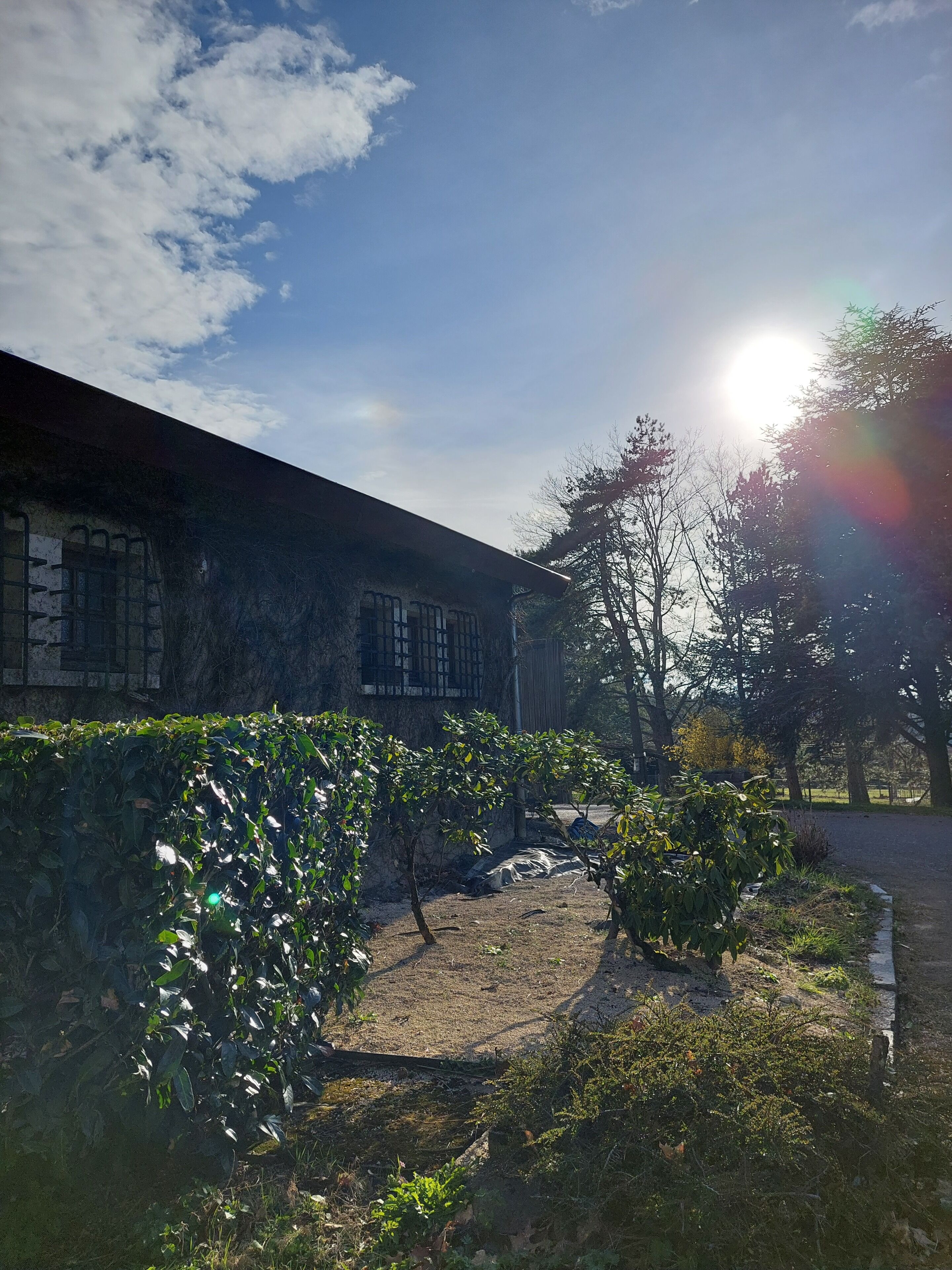 Overnattingsstedets uteområder