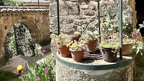 Una estructura de piedra con un arco de metal, rodeada de macetas con plantas y flores.