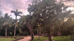 A pathway leading through a garden with various trees and a well-maintained lawn. - El Castillo Tropical (Cabrera)