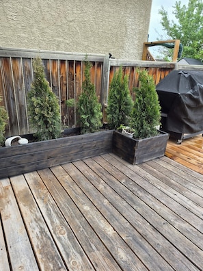 A wooden deck with planters containing small trees and a barbecue grill.