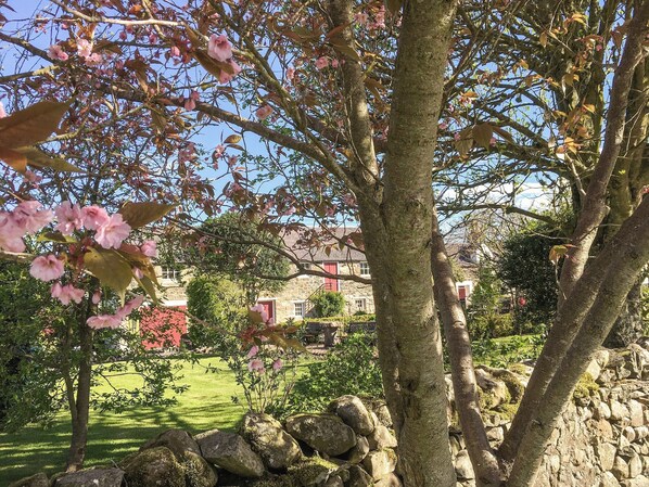 Property grounds - 2 bedroom accommodation in Smailholm, near Kelso (Smailholm, near Kelso)