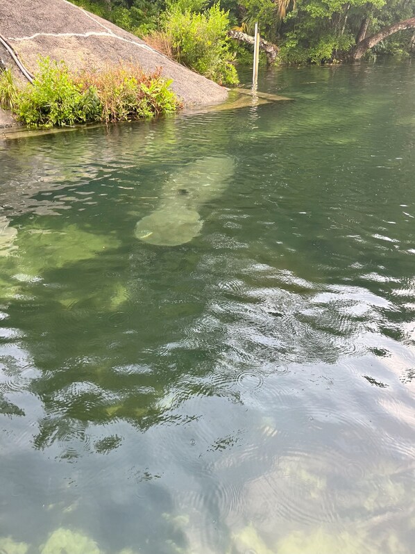 Een rustige rivier met helder water, omgeven door groen en een stenen gebouw.
