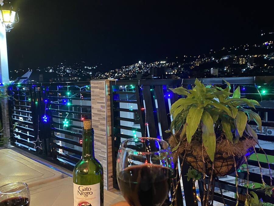 A hand holding a wine glass with a bottle of wine and a plant on a balcony overlooking a city at night.