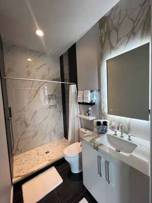 Douche, sèche-cheveux, serviettes fournies, savon