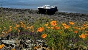 A boat on a calm lake with mountains in the background. - Silverado Beach Lake House (Clearlake)