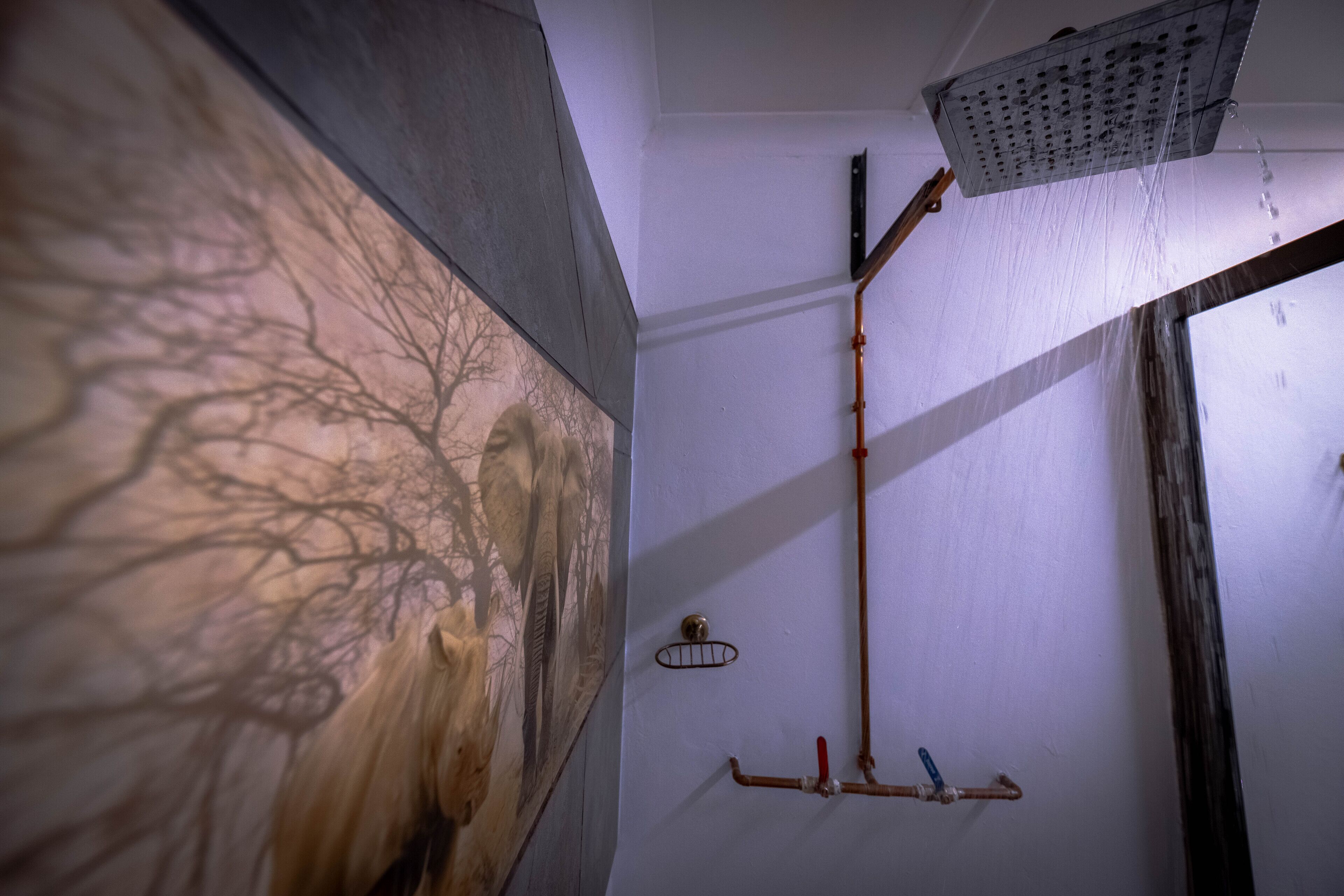 Une salle de bain équipée d’une douche, d’un porte-serviettes fixé au mur et d’un système de tuyauterie.