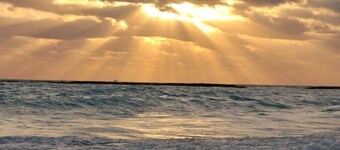 Gulf View, 5 min walk to beach, Pool Access, Family/Pet-Friendly Condo 