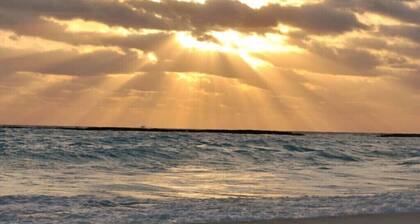 Gulf View, 5 min walk to beach, Pool Access, Family/Pet-Friendly Condo