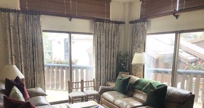 Vail Village European Charmer-Walk to Gondola, AC, Dog friendly