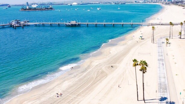 A beach with a pier extending into the water, palm trees lining the shore, and a clear view of the ocean. - The Dolphin: Beach~Workspace~W/D incl~PetsOK (Long Beach)