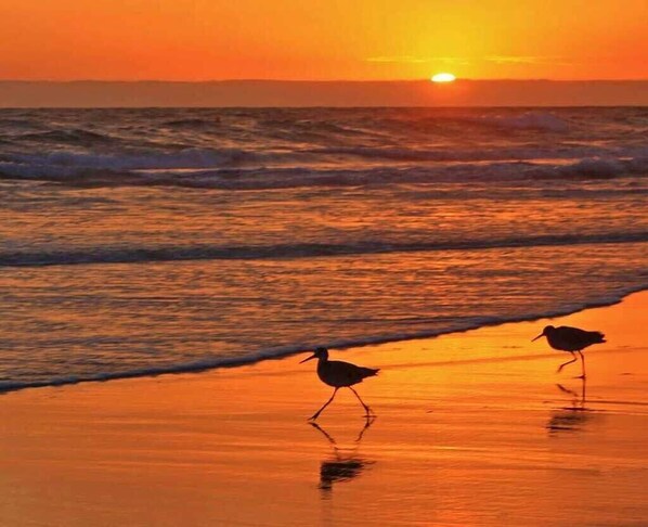 Nicht klassifiziertes Bild, 1 von 42, Schaltfläche