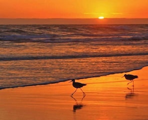 Playa en los alrededores