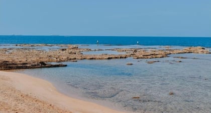 Pearl of akko