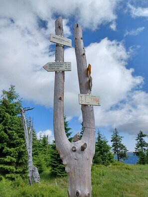 A wooden signpost with directional signs pointing to various locations.