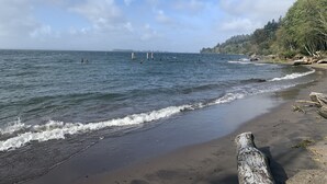 A beach with calm waves, a sandy shore, and a forested hillside in the background.