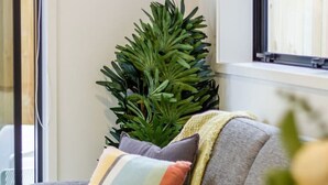 A grey sofa with multiple cushions, a large green plant, and a window with blinds.