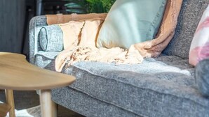 Ein graues Sofa mit einer hellblauen Decke und einem grünen Kissen, ein Couchtisch aus Holz und eine große Zimmerpflanze im Hintergrund.