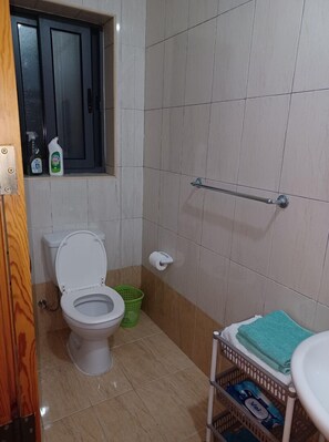 Een haardroger, handdoeken, zeep, toiletpapier