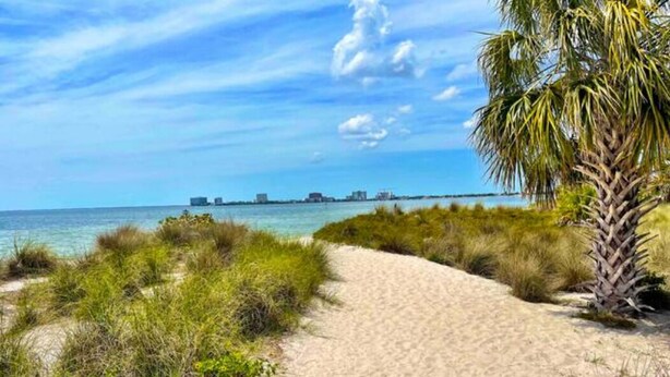 Un sendero arenoso que lleva a una playa con vegetación escasa y una palmera.