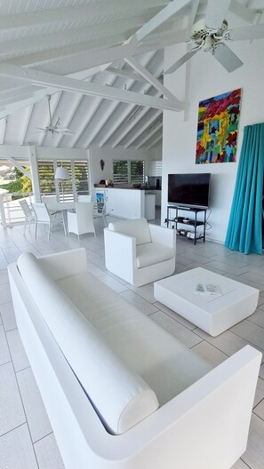 Älytelevisio, kirjoja