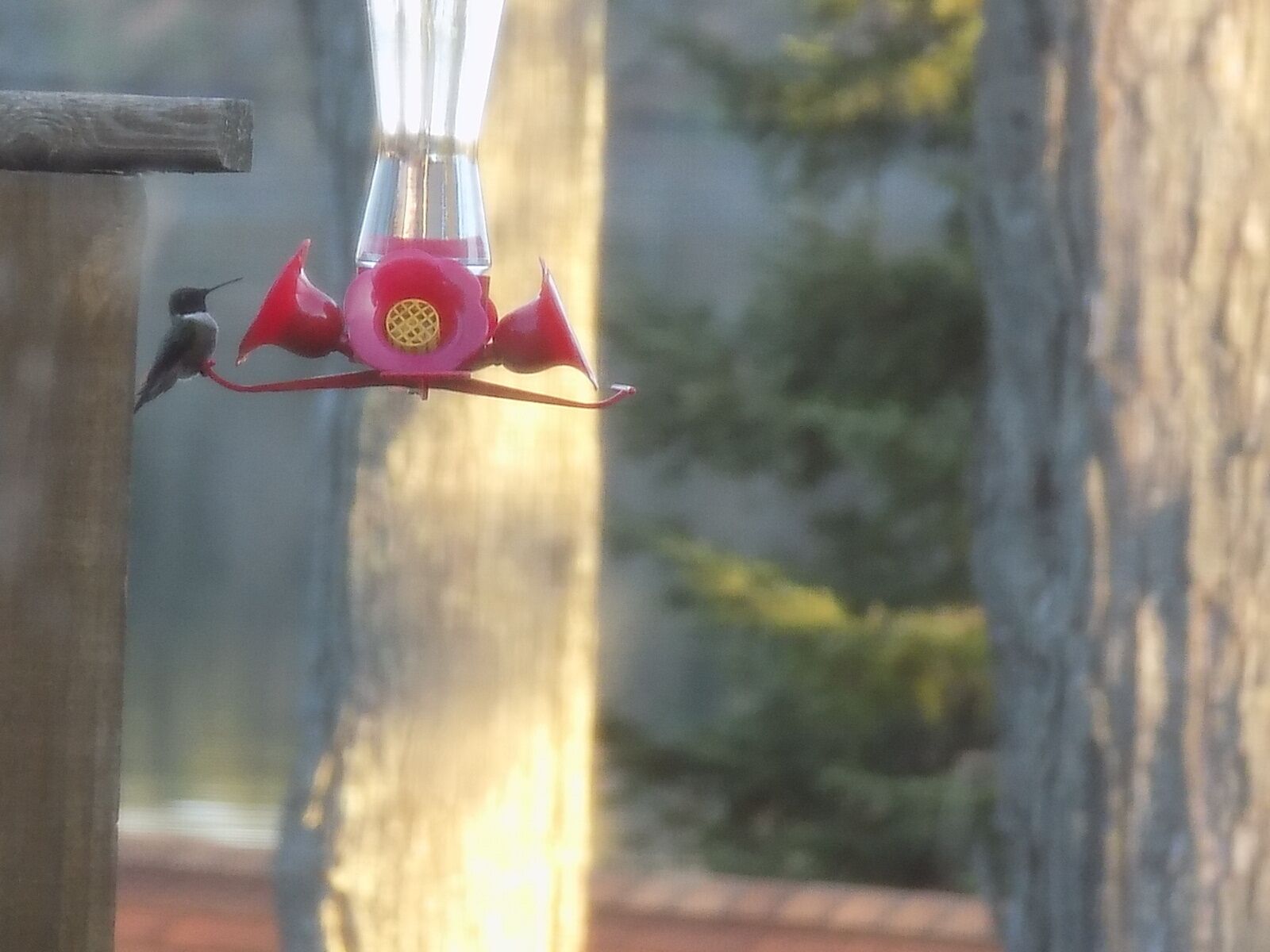 A bird feeder with a red design, attached to a wooden post.