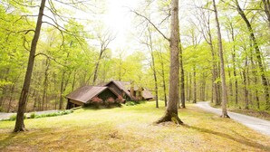 A rustic cabin in a forest with a dirt path leading to it. - Game room, Complete Retreat, Stonehaven (Morgantown)